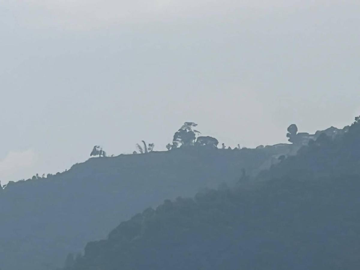 Beli Guest House Pokhara Exterior foto